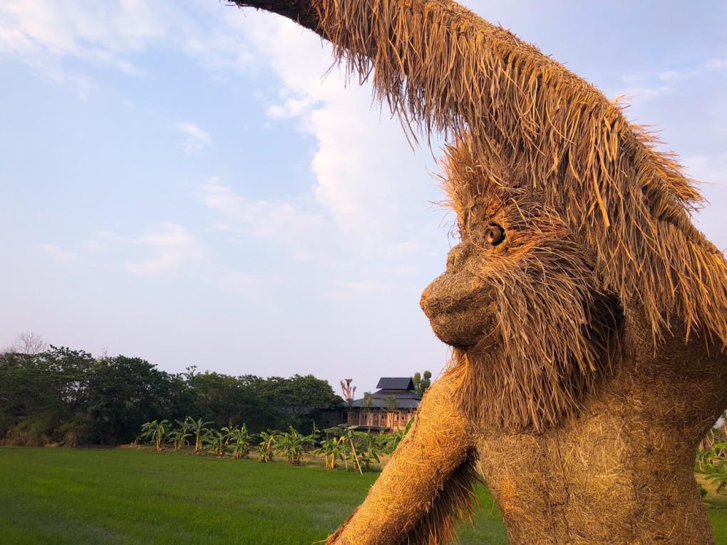 หุ่มฟางพญาค่าง