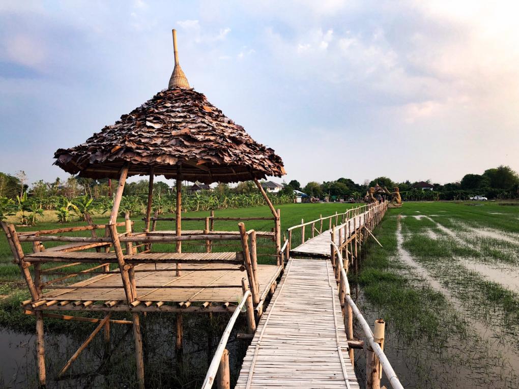 สะพานไม้ไผ่